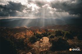 Darkness and light coexist harmoniously