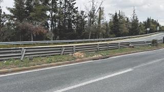 Έβρος: Θα αντικατασταθούν τα επικίνδυνα και ασυντήρητα στηθαία ασφαλείας
