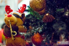 Christmas and First Day of the New Year have finally come!