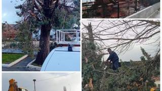 Ζημιές από ανεμοστρόβιλο στον οικισμό Αμορίου του Δήμου Σουφλίου