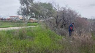 Νωρίτερα από κάθε άλλη χρονιά ξεκίνησε η καταπολέμηση των κουνουπιών στην Περιφέρεια ΑΜΘ