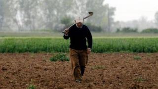 Χρ. Τριαντόπουλος: Ξεκίνησαν οι προκαταβολές 50% της αρωγής για τους αγρότες
