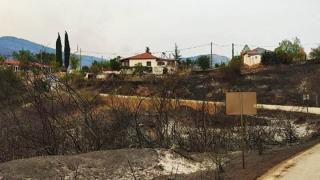 Έβρος: Νέα παράταση για τις αιτήσεις ενίσχυσης πληγεισών επιχειρήσεων από τις πυρκαγιές του Αυγούστου 2023 