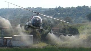 H "μάχη" με τα κουνούπια συνεχίζεται στην Ορεστιάδα