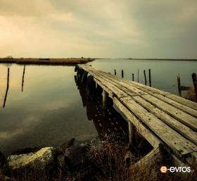 Quietness and infinite beauty at the Delta of Evros 