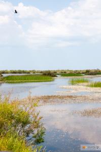 In the Delta of Evros: a unique experience!