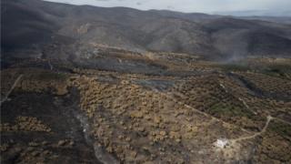 ΕΛΕΤΑΕΝ: Πρόχειρη και βιαστική η μελέτη επιπτώσεων της πυρκαγιάς στον Έβρο