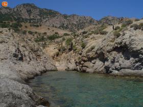 Bay at Pachia Ammos, along with the unique Monahus Monahus seals.