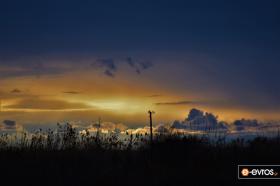 "Nature's Feast from Apalos Beach, Alexandroupolis".