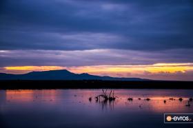  At the dawn of the day in the Delta of Evros