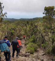 Ο 74χρονος Εβρίτης που "άγγιξε" το όρος Κιλιμάντζαρο