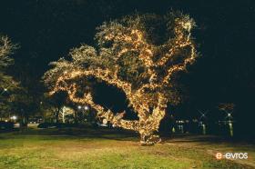 Christmas tree of elf in Alexandroupolis