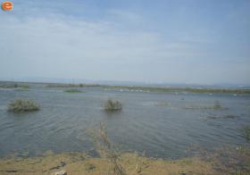 Perspective of Delta of Evros.