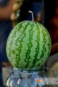 A watermelon per day, keeps the doctor away!