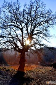 So beautiful, like in the countryside!