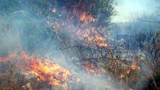 Πυρκαγιά ξέσπασε στα Λουτρά, Αλεξανδρούπολης