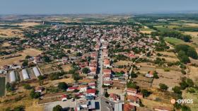 Kastanies from above