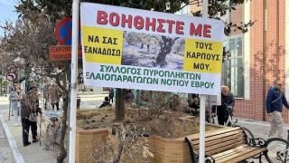 Πορεία αγανακτισμένων ελαιοπαραγωγών περιοχών Μάκρης στην Αλεξανδρούπολη - Τα αιτήματα (video)