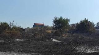 Φωτιά στην Κοτρωνιά: Περίπου 1.500 στρέμματα καμένα από την πυρκαγιά
