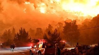Πυροσβεστικές δυνάμεις και της ΑΜΘ στην Αττική - Η Αλεξανδρούπολη στο "πλευρό" των πληγέντων από τον πύρινο "εφιάλτη"