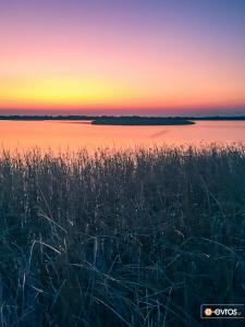  In the wetlands south of Loutra, in Alexandroupolis