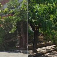 Σταμάτησαν οι ισχυροί άνεμοι στη Θράκη, αλλά οι ζημιές έγιναν