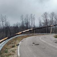 Κίνδυνος στο ορεινό επαρχιακό δίκτυο της Αλεξανδρούπολης από πεσμένα δένδρα
