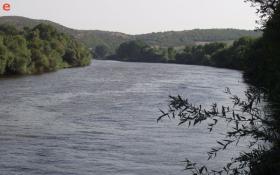 Η φύση οργιάζει στον ποταμό Έβρο.