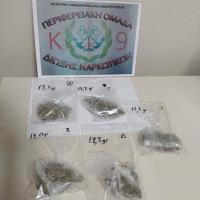 Αλεξανδρούπολη: Ο σκύλος Κ-9 «Δίας» μύρισε τα ναρκωτικά - Συνελήφθη 39χρονος