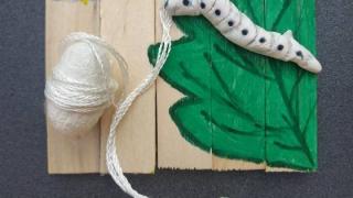 «Μαγνητάκια με μετάξι και κουκούλια»: Δημιουργικό εργαστήριο στο Μουσείο Μετάξης στο Σουφλί