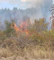 Πυρκαγιά σε δασική έκταση στη Λευκίμη Σουφλίου (video - φώτο)