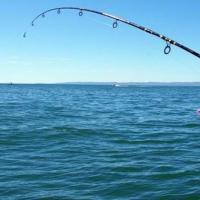 Λιμεναρχείο Αλεξανδρούπολης: Απαγορεύεται το ψάρεμα σε χώρους λουομένων