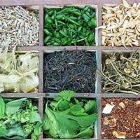 Το 1ο Πανελλήνιο Συνέδριο Αρωματικών & Φαρμακευτικών φυτών στην Αλεξ/πολη