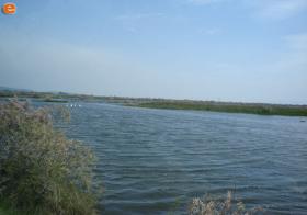 In the flows of Evros river.