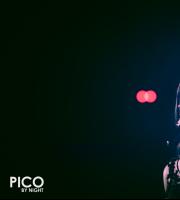 Φωτορεπορτάζ από το live του Πέτρου Ιακωβίδη στο Pico by night