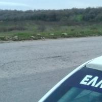 Φέρες: Άγρια άλογα κυκλοφορούν ελεύθερα στην Εθνική Οδό