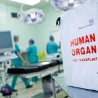 Μέσα από τον θάνατο, χάρισε ζωή: Η συγκινητική δωρεά οργάνων από 72χρονη στην Αλεξανδρούπολη