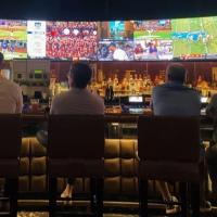 Συνήθειες και Προτιμήσεις Παικτών στο Ελληνικό Online Betting