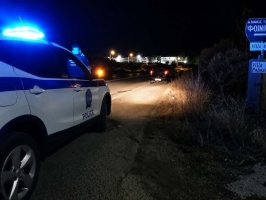 Αλεξανδρούπολη: Κοπάδι αγριόχοιρων προκάλεσε τροχαίο