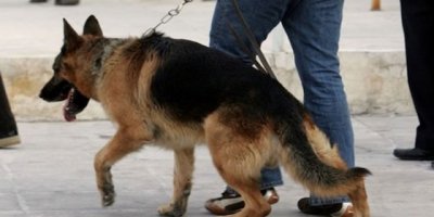 Δύο συλλήψεις για ναρκωτικά στο λιμάνι της Αλεξανδρούπολης με τη συνδρομή της «Λάικα»