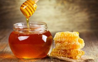 Έρχεται η 17η Γιορτή Μελισσοκόμων και Καλλιεργητών Έβρου