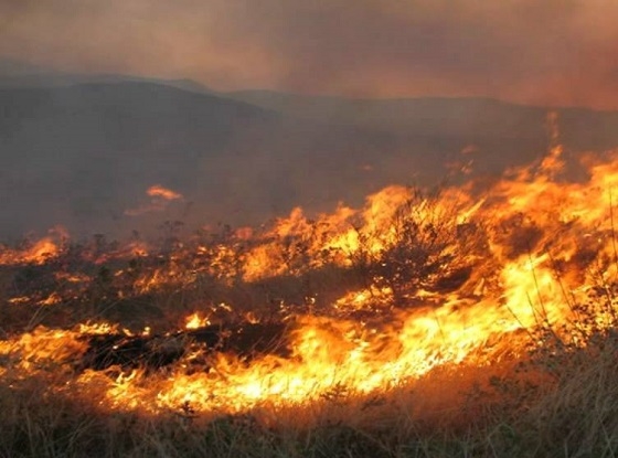 Η απαγορεύσεις για τις φωτιές σε χωράφια, ισχύουν μέχρι και τις 31 Οκτωβρίου.