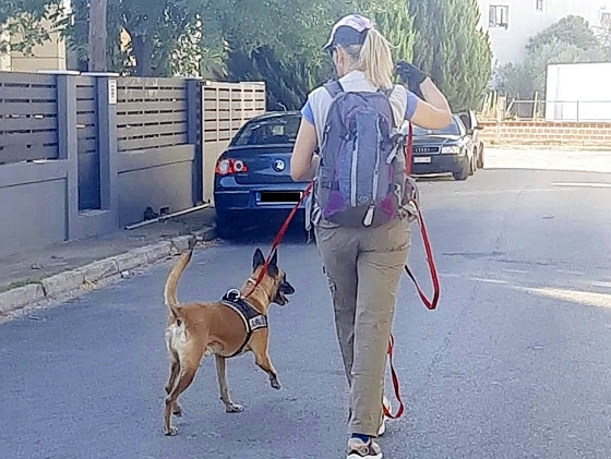 Εντοπίστηκαν δηλητηριασμένα δολώματα και νεκρά ζώα στον Απαλό Αλεξανδρούπολης.