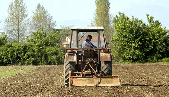 Αλεξ/πολη: Ενημερωτική εκδήλωση για τους τρόπους δικτύωσης των αγροτών.