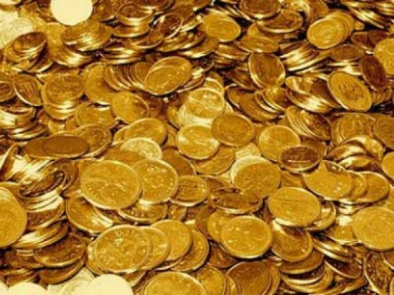 65 χρυσές λύρες κληρονομιά του Δήμου Ορεστιάδας