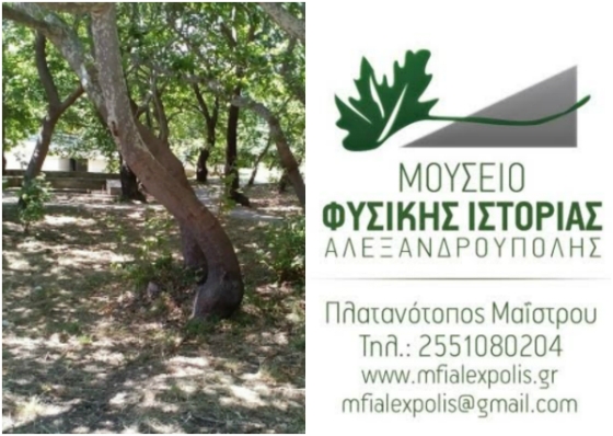Εκπαιδευτικό Πρόγραμμα του Μουσείου Φυσικής Ιστορίας Αλεξανδρούπολης