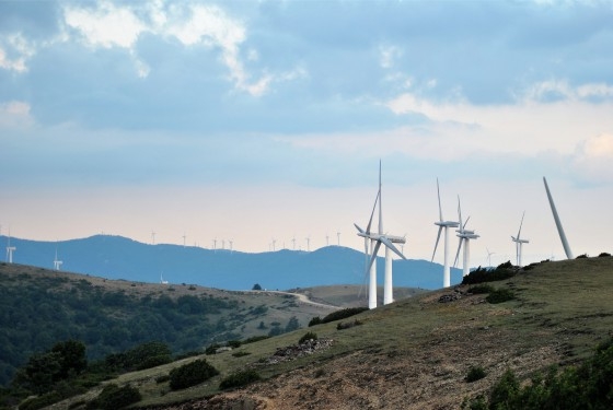Ανεμογεννήτριες στο Εθνικό Πάρκο δάσους Δαδιάς: Πρωταπριλιάτικο αστείο ή θλιβερή πραγματικότητα;