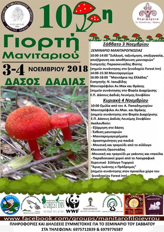 Έρχεται η 10η Γιορτή Μανιταριών στο Δάσος Δαδιάς!