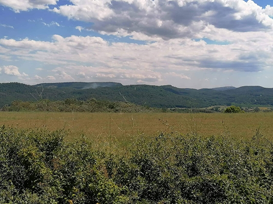 Πρόλαβε τα χειρότερα το Πυροσβεστικό Κλιμάκιο Σουφλίου.