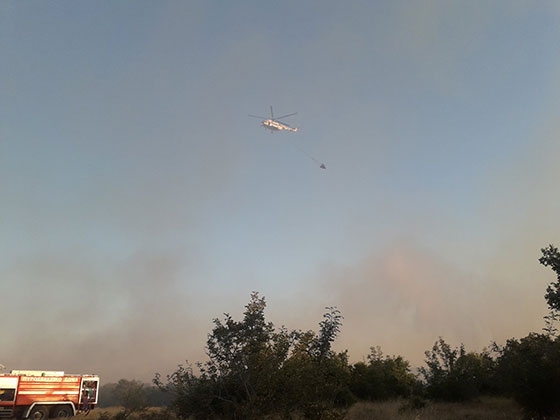 Φωτ: Ν. Γκότσης